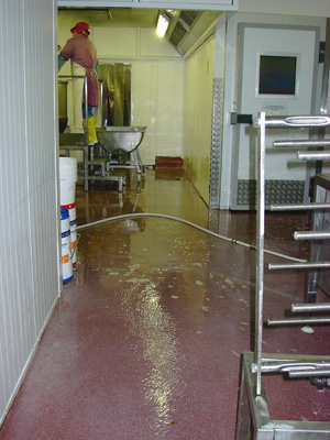 commercial flooring resin simply-fresh-foods